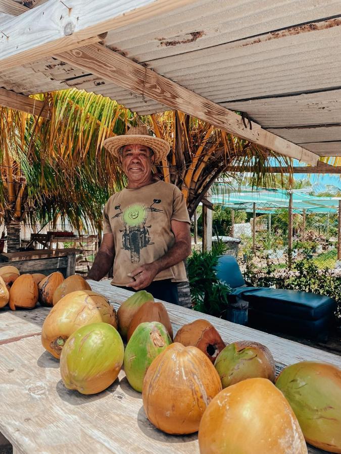 Bijblauw Hotel Willemstad Luaran gambar